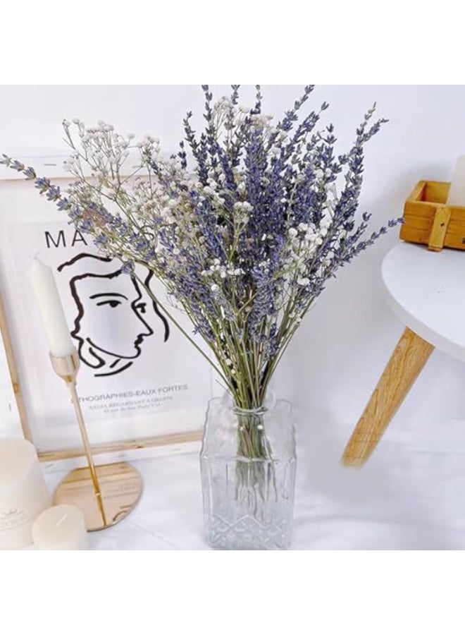 باقات زهور اللافندر المجففة ونفس الطفل، باقة زهور مجففة للمزهرية، جيبسوفيلا طبيعية للمنزل، الزفاف، التصوير الفوتوغرافي، تنسيق الزهور، اصنعها بنفسك - Image 4